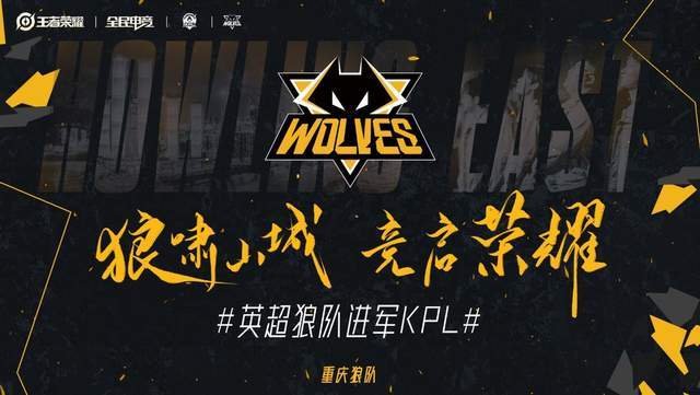 限定新皮上 限定新皮上